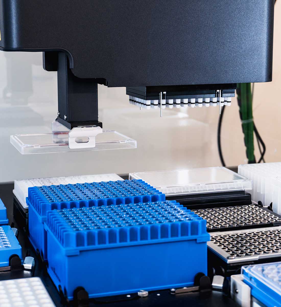 shutterstock 1114615988